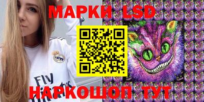 стаф Донской
