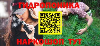 стаф Донской