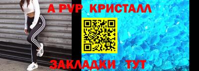 стаф Донской