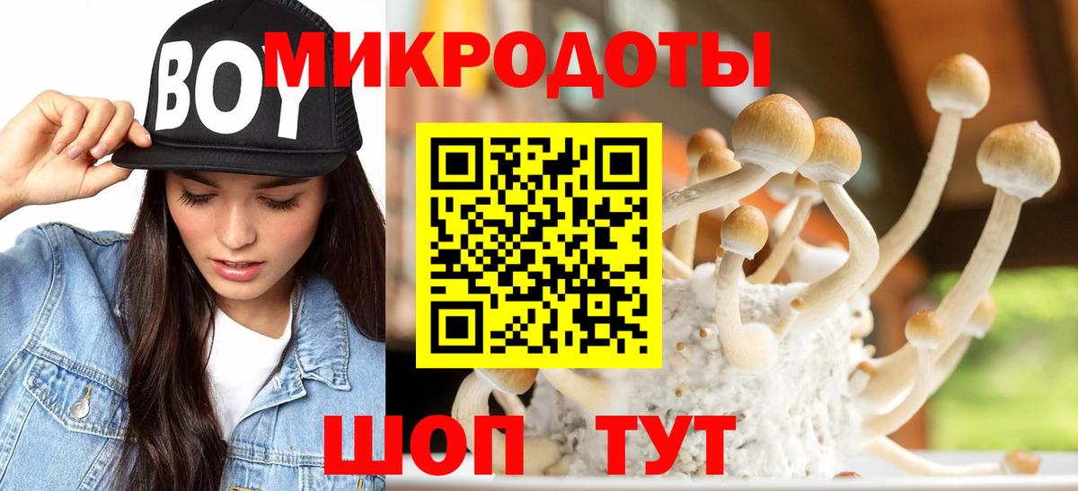 Псилоцибиновые грибы Magic Shrooms  Вход с VPN  Мурино  Псилоцибиновые грибы мицелий 