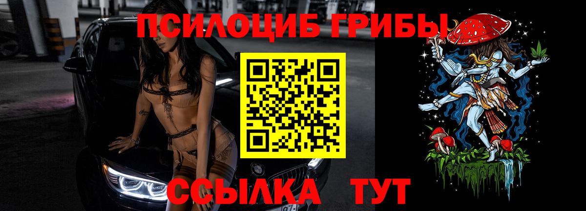 Псилоцибиновые грибы GOLDEN TEACHER Мурино